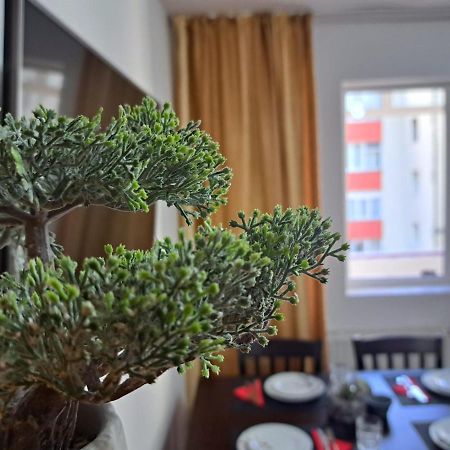 Aviliz Apartament Busteni Exterior photo