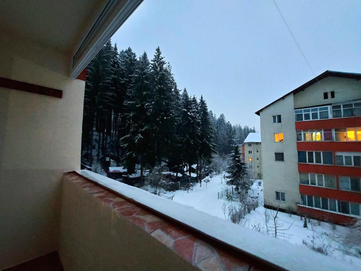 Aviliz Apartament Busteni Exterior photo
