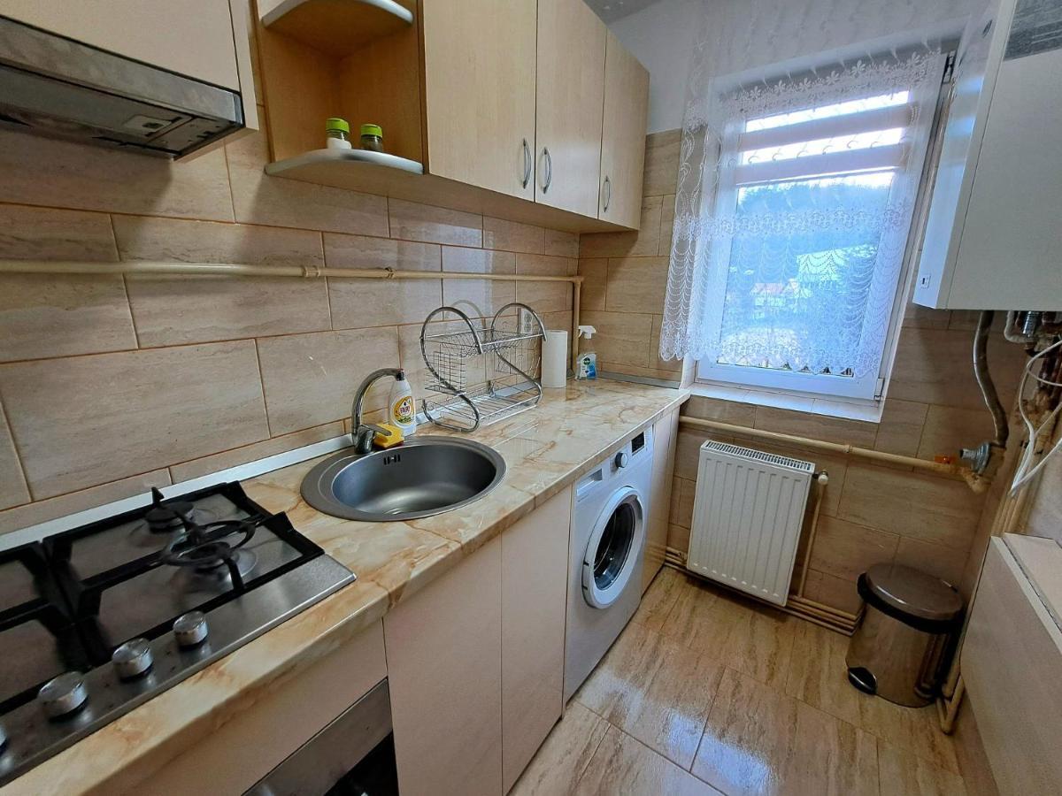 Aviliz Apartament Busteni Exterior photo