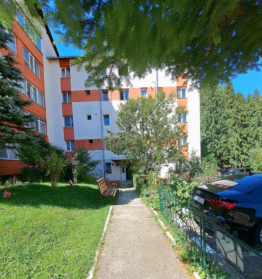 Aviliz Apartament Busteni Exterior photo