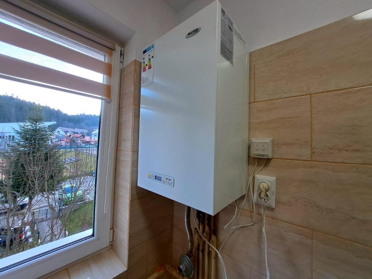 Aviliz Apartament Busteni Exterior photo