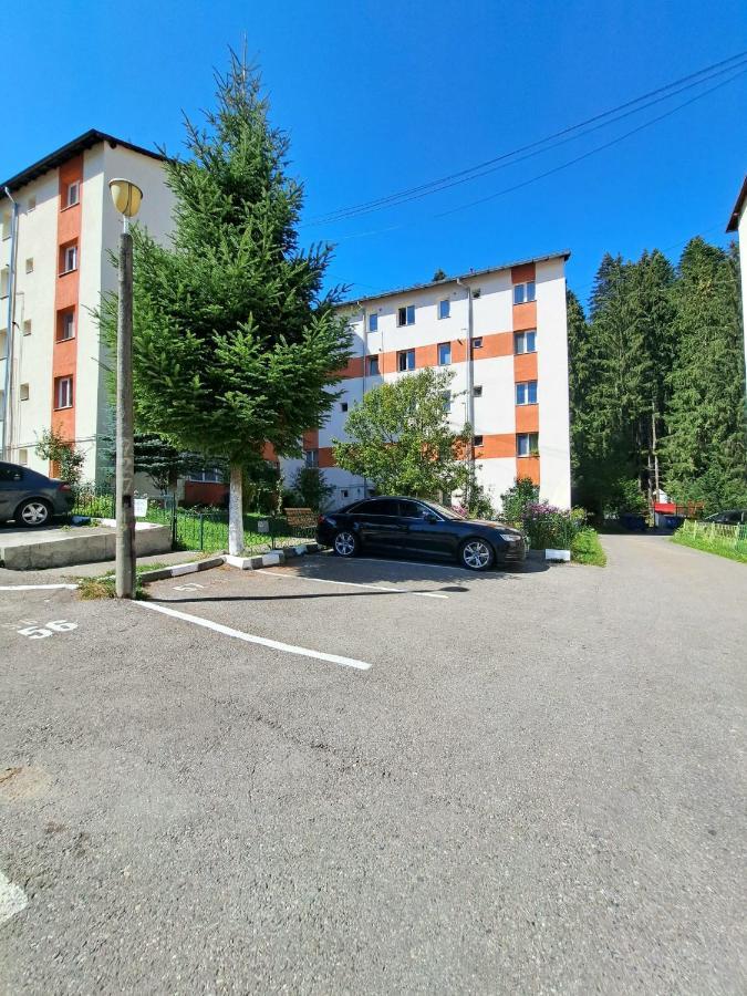 Aviliz Apartament Busteni Exterior photo